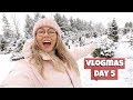 VLOGMAS DAY 5 // Cutting Down Our Own Christmas Tree!