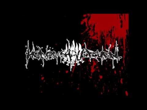 metalcore japones Heaven Shall Burn - Implore The Darkened Sky（Instrumental Cover）