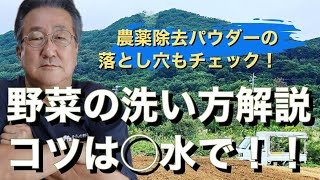 徹底解説！野菜の洗い方、コツは〇〇で！農薬除去パウダーの落とし穴【自然栽培】【無農薬】【無肥料】【そらの野菜】