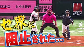 【全11キャノン】週刊『セ界の強肩に盗塁阻止されてしまった…まとめ』（0607〜0612）