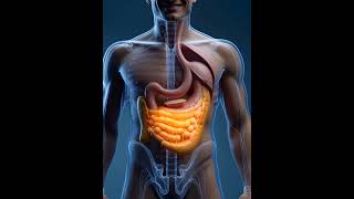 The Tuna Fish Benefits  #ushealthcare #anatomy #viralvideo #health #healthcare #LearnOnTikTok