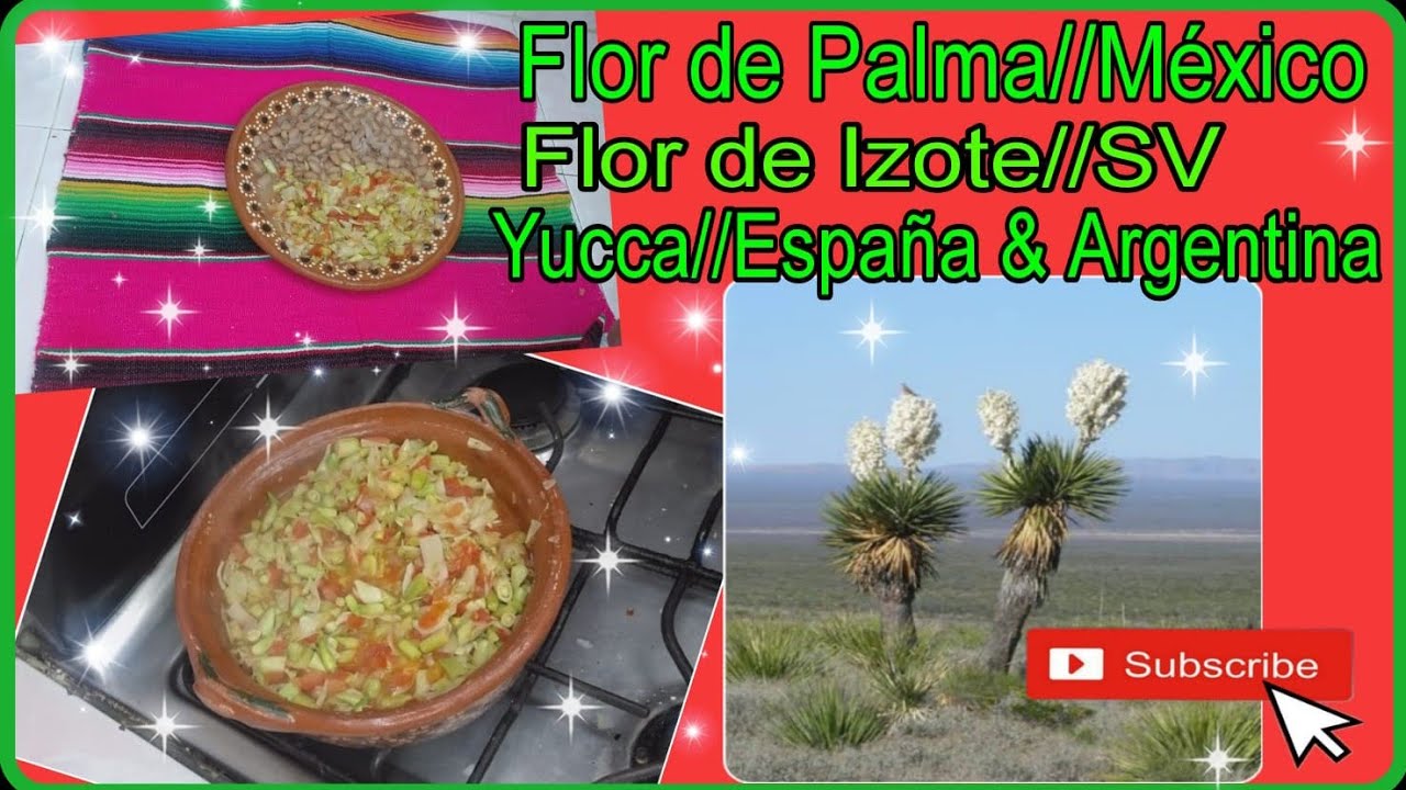 Flor de palma #receta sencilla de preparar - YouTube