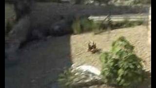 Norbi 3run Showreel