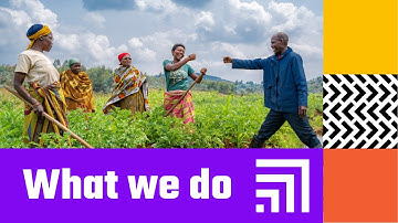 Ripple Effect: what we do