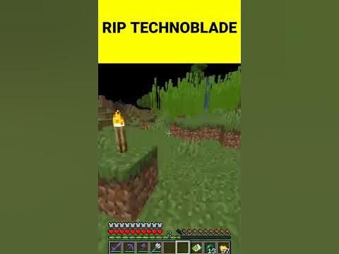 RIP Technoblade (Techno Tribute) 