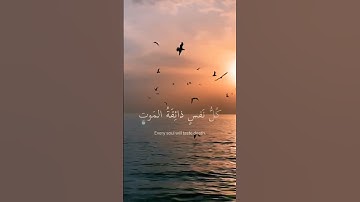 القارئ عبدالرحمن مسعد-قران كريم ♥-صلي علي النبي 🌺