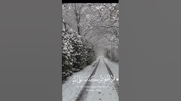 ❤️❤️❤️❤️❤️ #القرآن_الكريم #القرآن #الجزائر #المغرب #تلاوة_خاشعة #محمد_اللحيدان #ياسر_الدوسري
