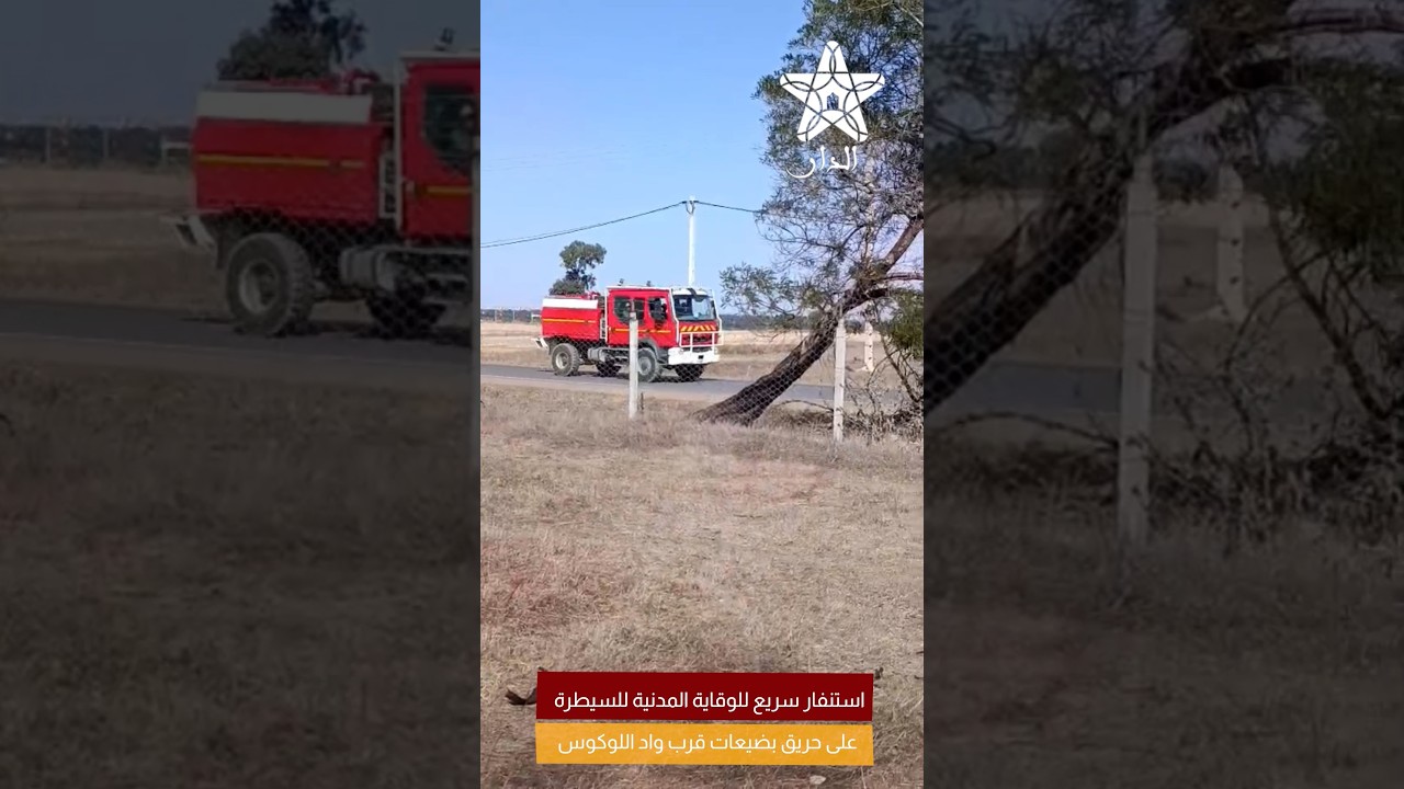 استنفار سريع للوقاية المدنية للسيطرة على حريق بضيعات قرب واد اللوكوس