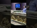 Exploring the Singapore Oceanarium Part 2