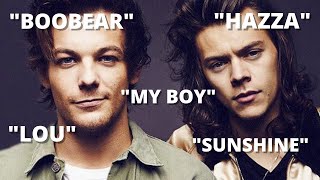 larry stylinson calling each other pet names for 3 minutes gay