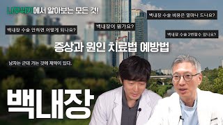 안과의사가 직접 읽는 나무위키 누네위키 백내장편