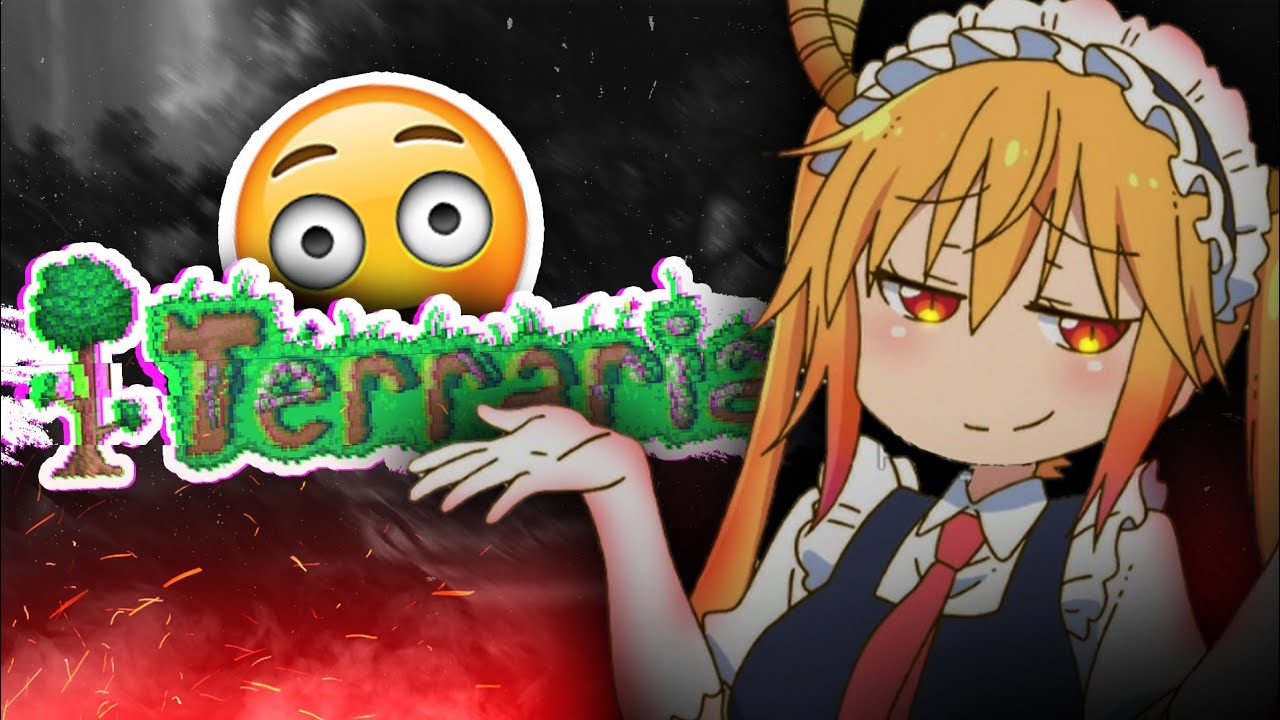Um video estranho de terraria...