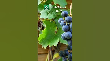 Surah Ash Shuara 26-28 | Urdu | Hindi Audio Translation | سورة الشعراء