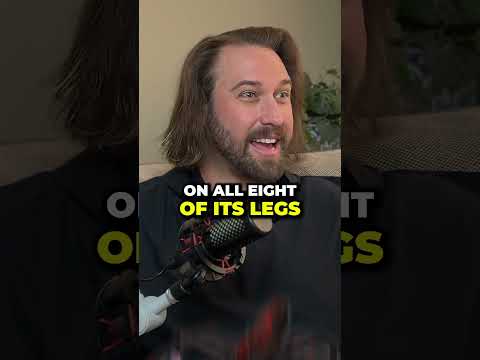 Conquer Your Fears Like Harry Potter: How to 'Bogart' Fear Away!