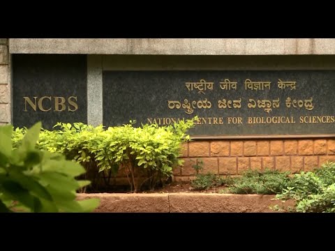 Home Ncbs