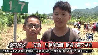 1060727觀天下新聞HD06 雙溪區「安心」里長變講師 指導小農夫割稻