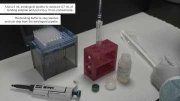 MagMAX Viral/Pathogen Nucleic Acid Kit Using KingFisher Duo Prime for Sample Preparation