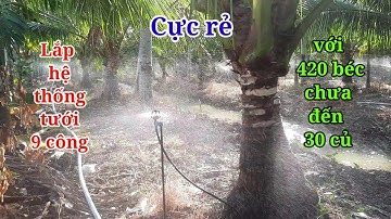 Thi công lắp đặt hệ thống tưới tự động diện tích 8,7 công chưa đến 30 củ, quá rẻ #quyetbectuoi