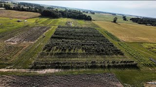Fields of The Pickwick Place Bucyrus Crawford County Ohio June 2025