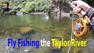 Fly Fishing Colorado's Own Taylor River  Beyond The Fly |  Ep. 1