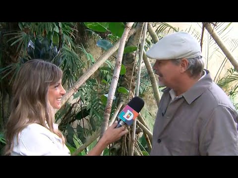 100 años de historia: la reapertura del invernáculo del Jardín Botánico