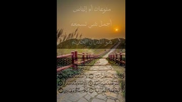 سورة الكافرون #fypage #islam #القرآن_الكريم_راحة_نفسية #القرآن_الكريم #viral #fypシ #القرآن_كلام_الله
