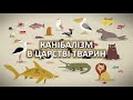 Канібалізм в царстві тварин [TED-Ed]