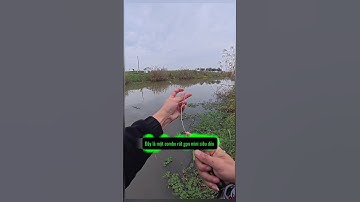 CẦN câu lure rút gọn mini #cauca #fishing