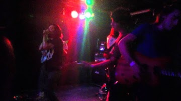 A Lot Like Birds-Truly Random Code Live