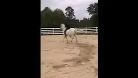 John Moore and Sokie2