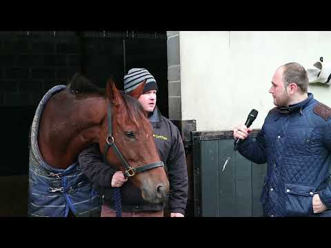 Gordon Elliot Stable Tour: Death Duty