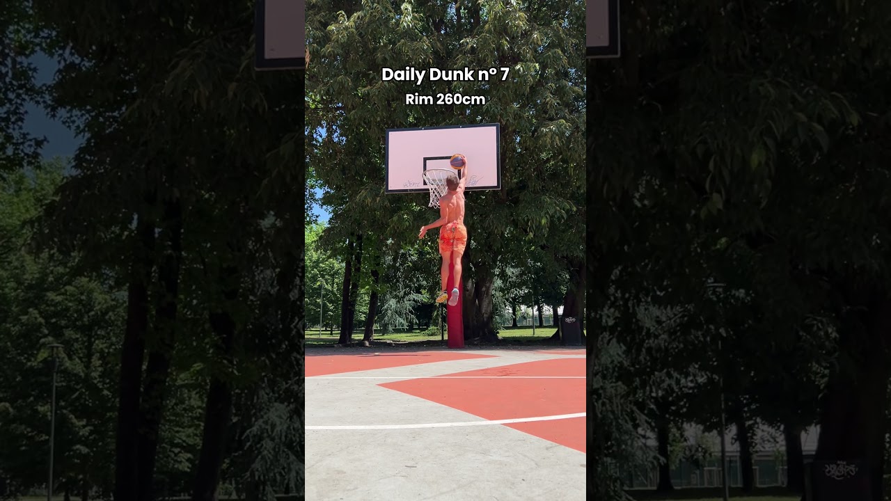 Dwight Howard tap - Rim 260cm - Daily Dunk ep7   