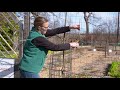 Les arbres fruitiers en espalier cest facile 