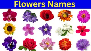Flowers Names | Flowers Names In English For kids | Flowers Vocabulary | Kids Tution Point