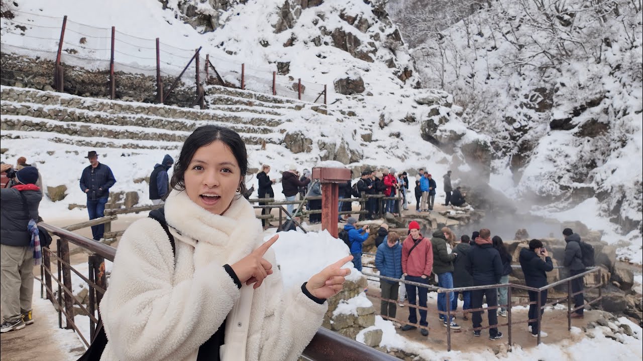 Visite el famoso Snow Monkey Park en NAGANO