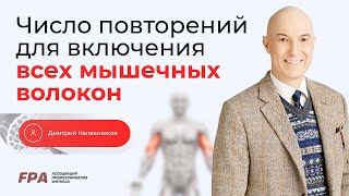 Число повторений для включения всех мышечных волокон | Дмитрий Калашников