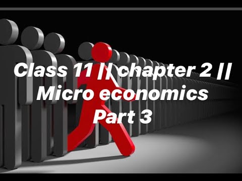 Economics chapter 11 investment options