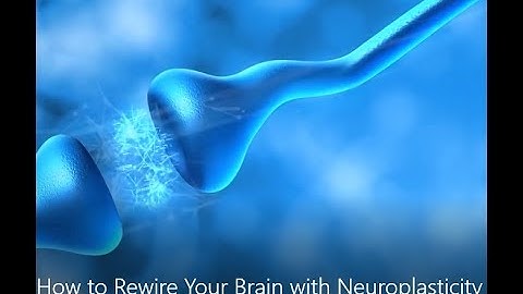 Discover How to Rewire Your Brain with Neuroplasticity