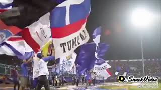 ccp Arema