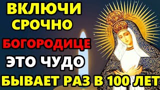 28 апреля Вербное Воскресенье ВКЛЮЧИ МОЛИТВУ ЭТО ЧУДО БЫВАЕТ РАЗ 100 ЛЕТ! Сильная Молитва Богородице