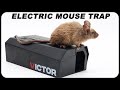 Works shockingly well  the newly redesigned victor electronic mouse trap is great mousetrap monday