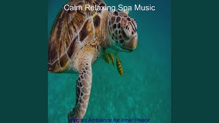 Sprightly Ambience for Serene Meditation