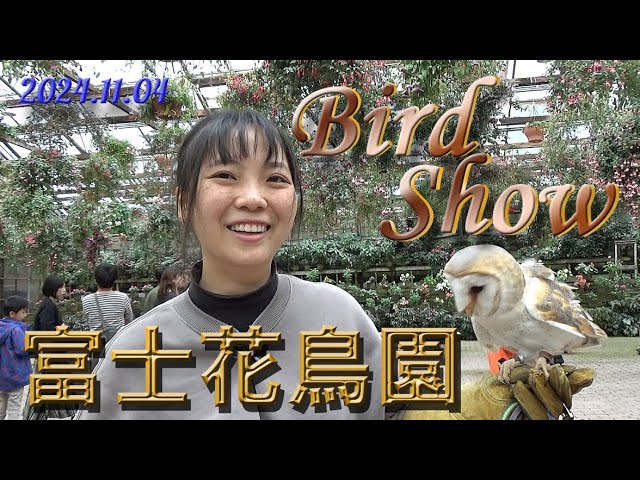 　❀金富士梟の集い❀ ❀金富士梟の集い❀ イベント | 富士花鳥園