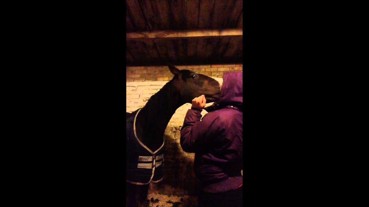 Kisses with scarly pony xoxo