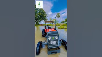 Ultimate Guide to Modern Rice Farming Techniques for Maximum Yield | CK Agriculture Farm