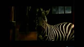 Cartoon Network - Flicks Racing Stripes Promo July 22 2008