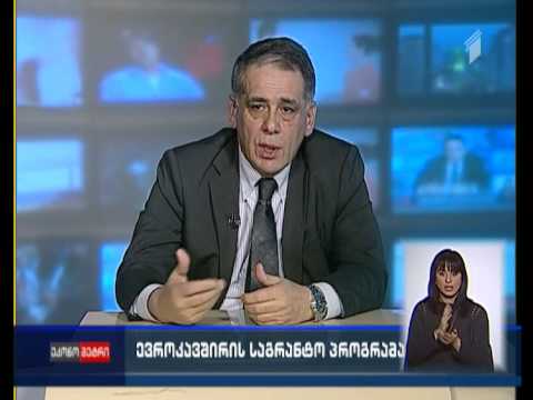 რა ტიპის დახმარებას სთავაზობს ევროკავშირი საქართველოს მთავრობასა და მეწარმეებს