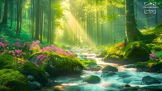 Gentle healing music for health and calming the nervous system, deep relaxation