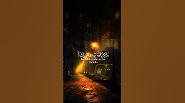 إنك لا تهدي من أحببت||تلاوة خاشعة //بصوت القارئ صالح اليافعي🎧💙صوت يريح الاعصاب من هموم الدنيا🌿🤍