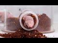 360° Video – Naked Mole Rats at Liberty Science Center